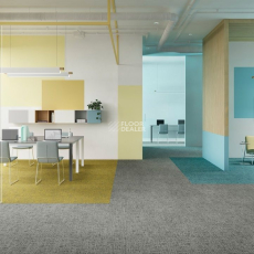 IVC Balanced Hues Коллекция Balanced Hues Balanced Hues 158 фото 2 | FLOORDEALER